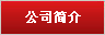 公司簡介